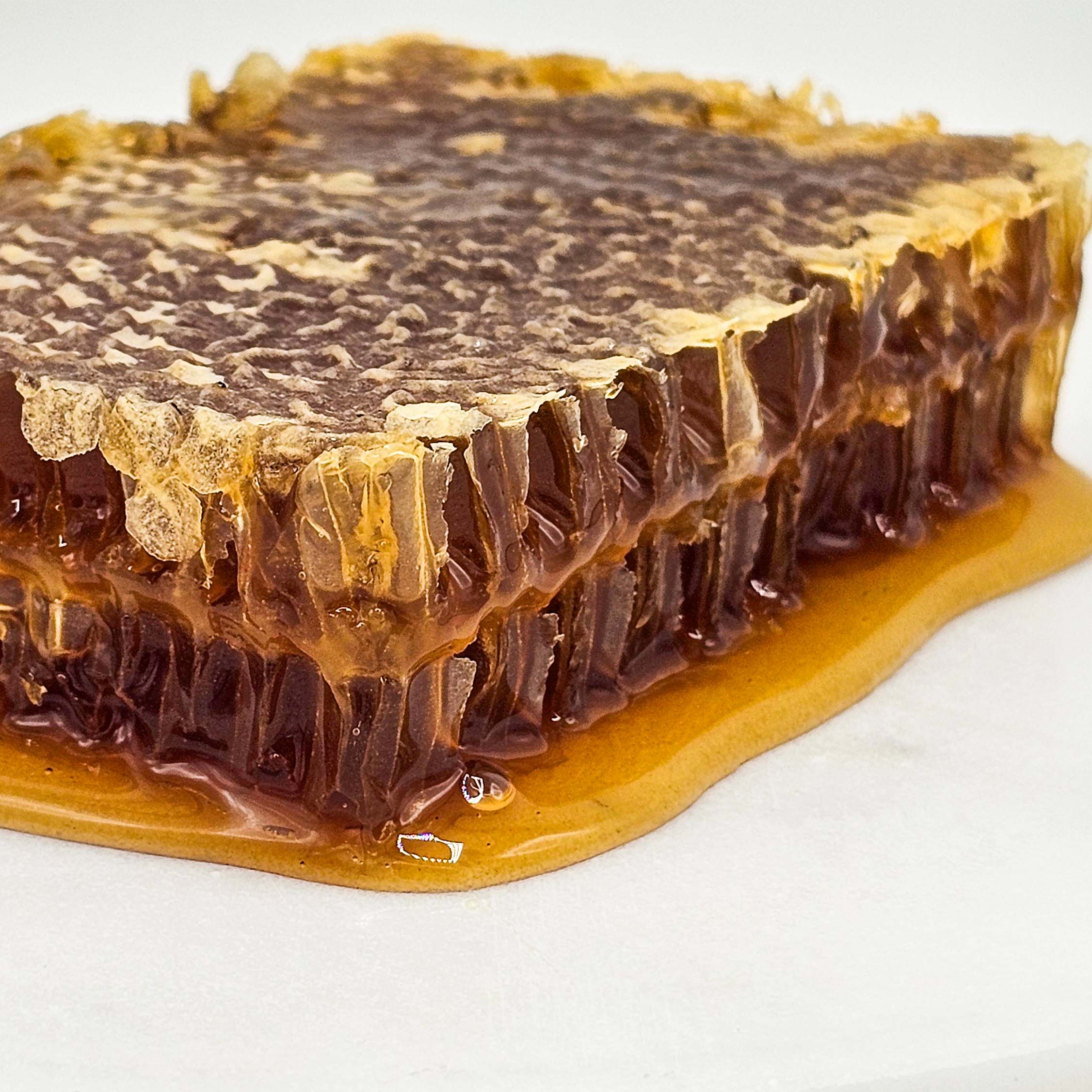 Lebanese Mountain Raw Honeycomb